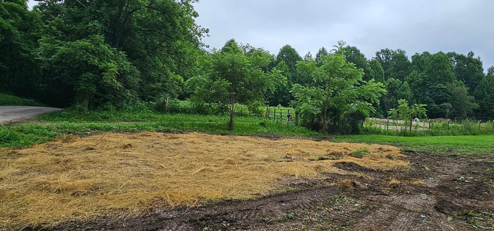Freshly cleared and seaded land under soft natural daylight.
